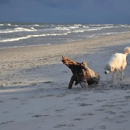 ホームステイ Wil-art I *