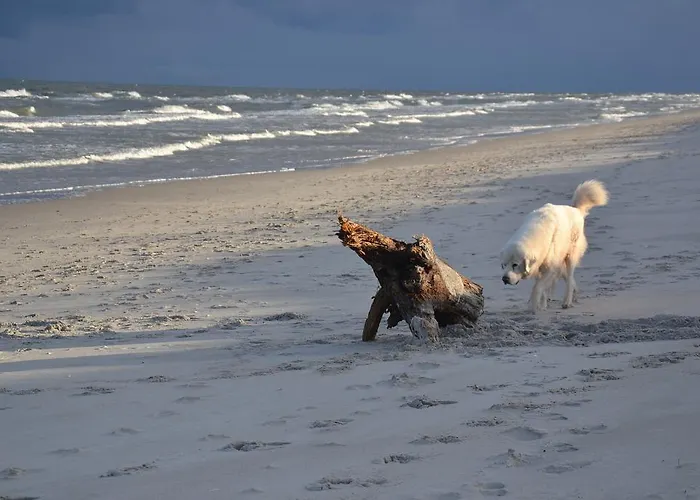 Rum i privatbostad Wil-art I *